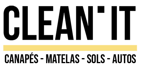 cleanit Leader du nettoyage professionne-